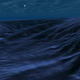 Image for article titled Google Earth For iOS Goes Underwater